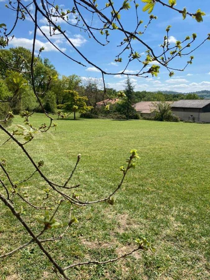 Bed and Breakfast Le Coq En Repos Saint-Sylvestre-sur-Lot Exterior foto